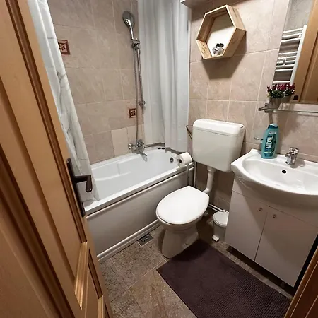 Velvet Sforii Брашов