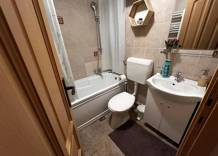 Velvet Sforii Μπρασόβ