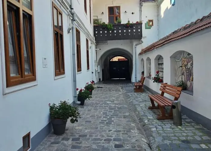 Velvet Sforii 布拉索夫