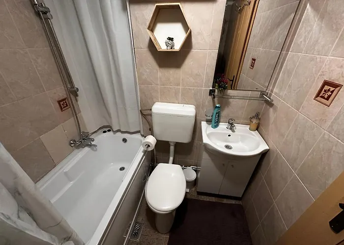 公寓 Velvet Sforii